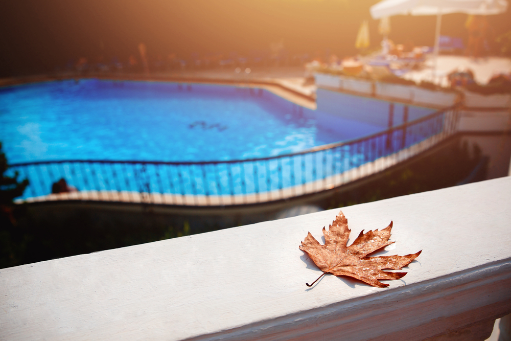 Leaf by a pool for pool services in Long Island, NY